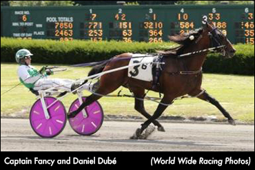 Stakes, Siegelman In Freehold Spotlight Stakes, Siegelman In Freehold Spotlight