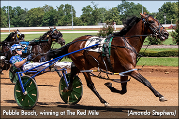 Pebble Beach Rebounds In Lexington