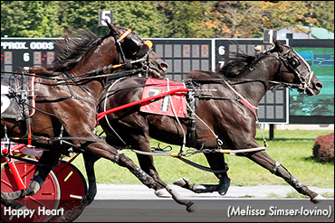 Happy Heart Scores At Saratoga