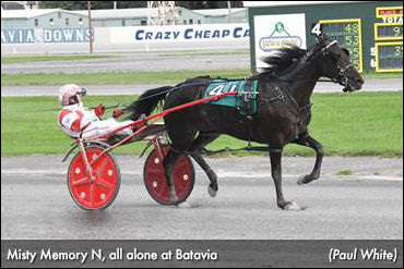 Misty Memory N On A Roll At Batavia