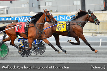 Wolfpack Russ Heads DSBF Prelims