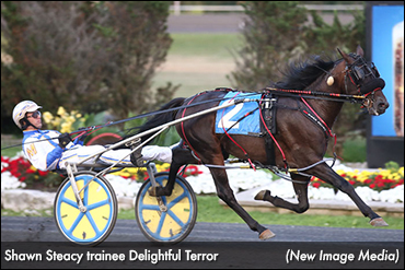 Steacy In Johnston Cup Hunt