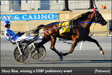 Rookie Trotters Spar In DSBF Prelims