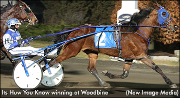 Its Huw You Know In Flamboro Preferred