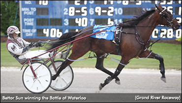 Bettor Sun Best In Battle Of Waterloo
