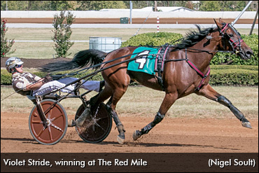 Speed Early Friday At The Red Mile 