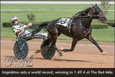 Impinktoo Tops Lexington Mixed Sale