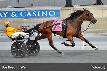 Record Mile From LGs Reed O Wen