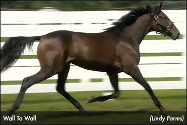 Walner Progeny Lead Lexington Day 2