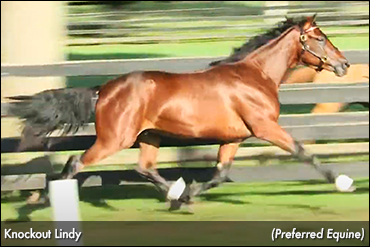 Trotters Lead Lexington Day 3