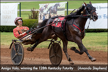 A Little Is A Lot For Pinske Stables