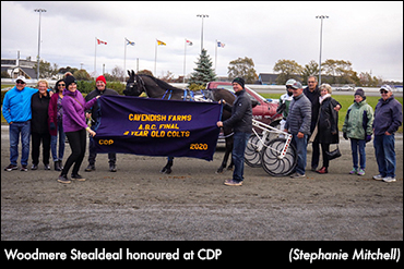 Woodmere Stealdeal Remains Sensational