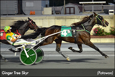 'Skyr' Scores; Davis Wins Five