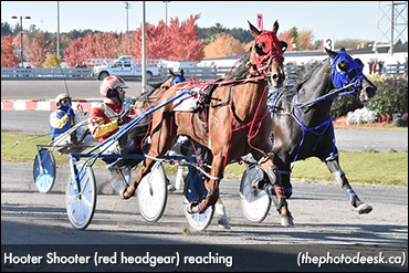 Hooter Shooter Best At 3R