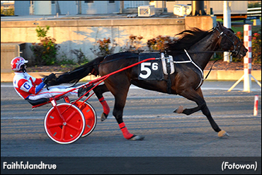 'Faithful' Leads Columbo-Cole Hat Trick