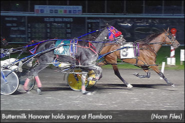 Buttermilk Hanover Back To Back
