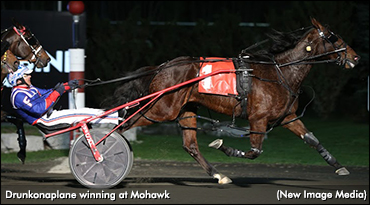 Flamboro Preferred To Drunkonaplane