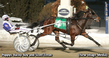 Zeron Grabs Five At Woodbine