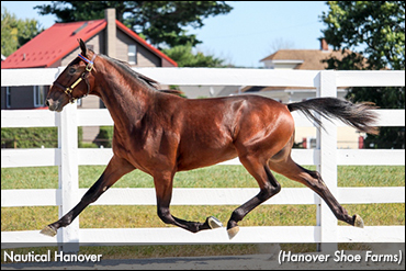 'Nautical' Tops Timonium Day 2