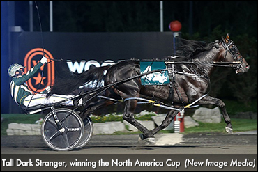 Tall Dark Stranger Retired