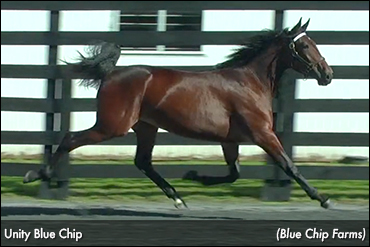 Unity Blue Chip Tops Final Yearling Session