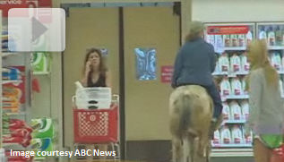 (Video) Seeing-Eye Horse