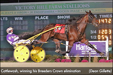 Big Things Ahead For Cattlewash