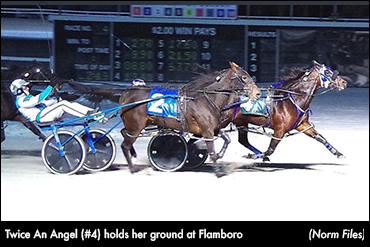 'Angel,' 'Euro' Score At Flamboro