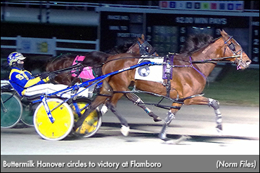 Buttermilk Hanover Strikes Again