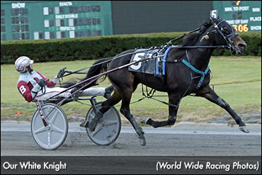 Our White Knight Takes 'Turkey Trot'