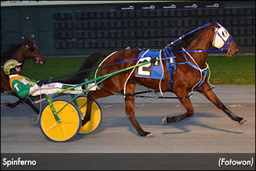 Spinferno Repeats In DSBF Prelim