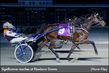 Significance Reaches At Flamboro