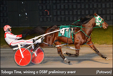 Favoured Fillies Fierce In DSBF Favoured Fillies Fierce In DSBF