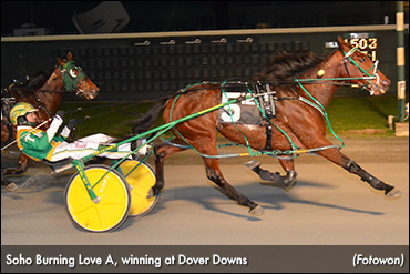 Soho Burning Love A Cruises At Dover