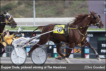 Dapper Dude To Make Final Start