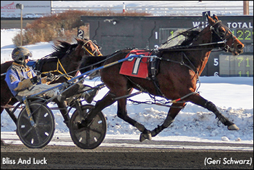 Six In A Row For Bliss And Luck