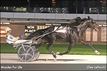 Muscles For Life Flexes In Florida