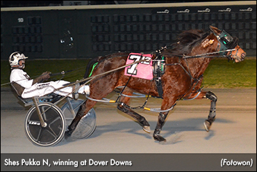 Shes Pukka N Dominates Dover Dames
