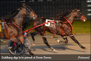 Goldberg Strikes Gold At Dover