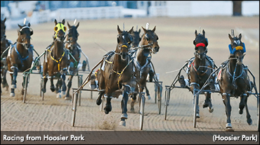 Stakes Stars Headed To Hoosier