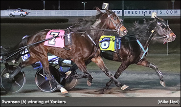 Yonkers Opens To Swansea, 'Ostro'