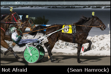 Not Afraid, 'Sapphire' Capture Handicaps