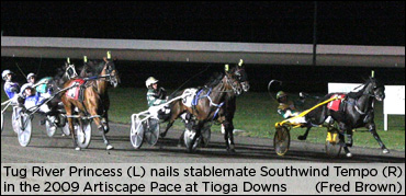 Top Pacing Mares Retired