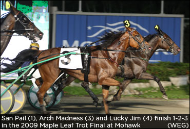 Top Trotters To Skip Nat Ray