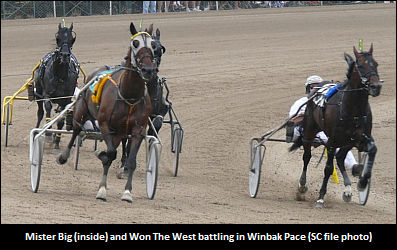 Grudge Match In Winbak Pace