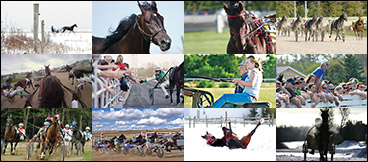 Seeking Calendar Contributions