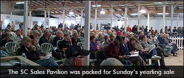 Breeders, Consignors Thrilled With Canadian Yearling Sale