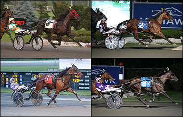 Jugette Gets 22 Fillies