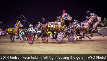 2015 Molson Pace Draw Complete
