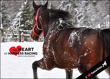 Harness Racing Calendar Giveaways